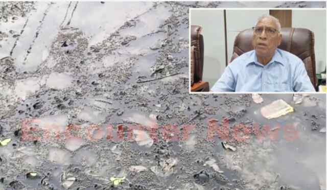 Jalandhar News: अपनी बदकिस्मती पर रो रहा Leather Complex, देखें वीडियो