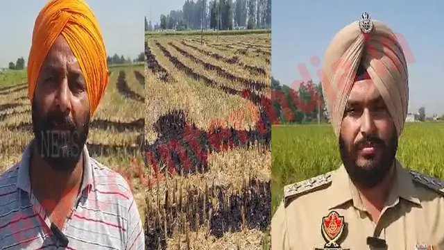 Punjab News : किसान ने खेत में पराली को लगाई आग, मौके पर पहुंचा प्रशासन, देखें वीडियो