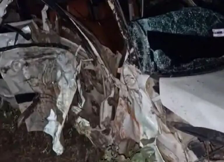 तेज रफ्तार कार पेड़ से टकराई, सीट बेल्ट न लगाने के चलते 2 महिलाओं सहित 3 की मौत