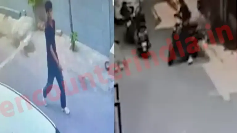 Punjab News :  चोर ने दिनदहाड़े दिया वारदात को अंजाम, देखें CCTV