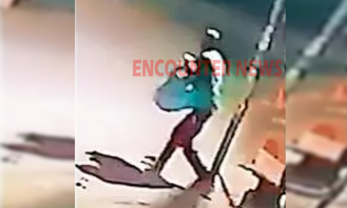 Jalandhar News: दरवाजे की जाली काटकर घुसा चोर, बेहोशी की दवा सुंघा गहने, नगदी सहित कीमती सामान लेकर हुआ फरार