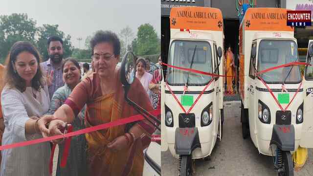 Punjab News: बेसहारा जानवरों के लिए एनिमल एंबुलेंस सेवा की शुरुआत, राज्यसभा सांसद रेखा शर्मा ने किया उद्घाटन, देखें वीडियो