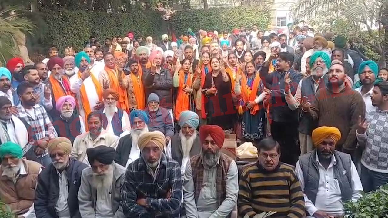 Punjab News: इस इलाके में कांग्रेस की जीत, 6 सीटों पर किया कब्जा, देखें वीडियो