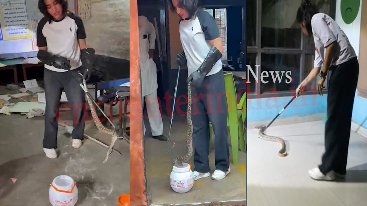 2 स्कूलों में अजगर और सांप निकलने से मचा हड़कंप, हेड कांस्टेबल ने दिखाई बहादुरी, बचाई जान, देखें वीडियो