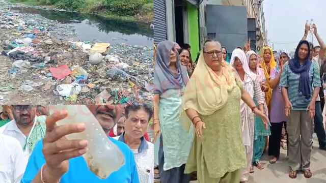Punjab News: इस इलाके में लगे कूड़े के ढेर और गंदे पानी से लोग परेशान, देखें वीडियो