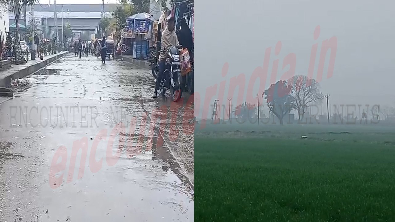 Punjab News: बारिश ने बढ़ाई ठिठुरन, कोहरे का ऑरेंज अलर्ट जारी, देखें वीडियो