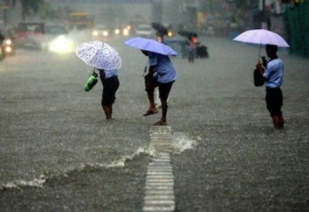 मौसम विभाग ने जारी किया Yellow Alert,  इन जिलों में पड़ेगी भारी बारिश