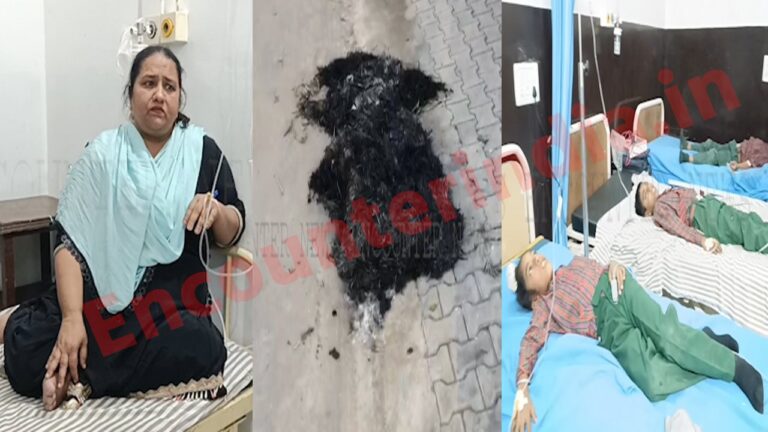 Punjab News: Primary School में घुसी मधुमक्खियां, बच्चों के काटने पर मचा हड़कंप, देखें वीडियो