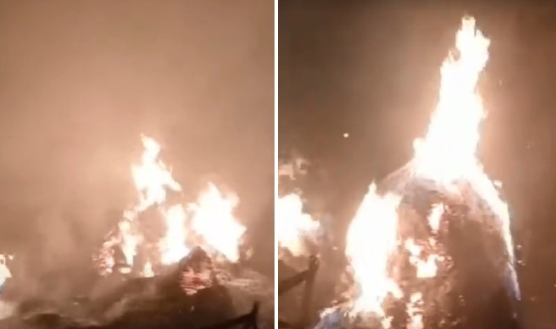 आगजनी से इलाके में दहशत, पेड़-पौधे और बिजली की तारें जलकर राख