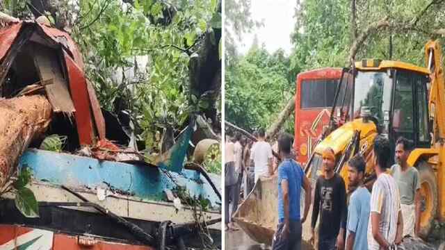 चलती बस पर पेड़ गिरने 5 लोगों की मौत, Rescue Operation जारी