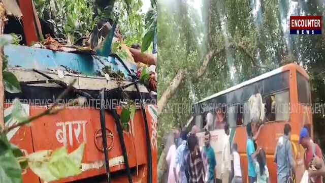 बड़ा हादसाः सवारियों से भरी बस पर गिरा पेड़, 6 की मौत, कई घायल, देखें वीडियो