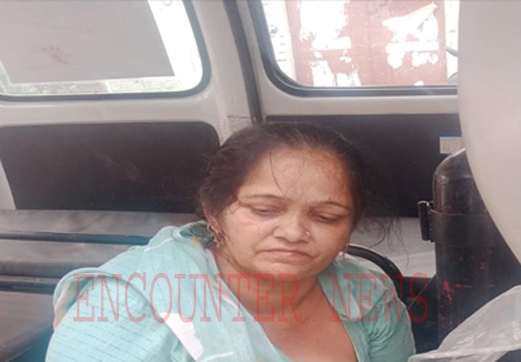 Punjab News: पेड़ से टकराई सवारियों से भरी बस, आधा दर्जन यात्री घायल