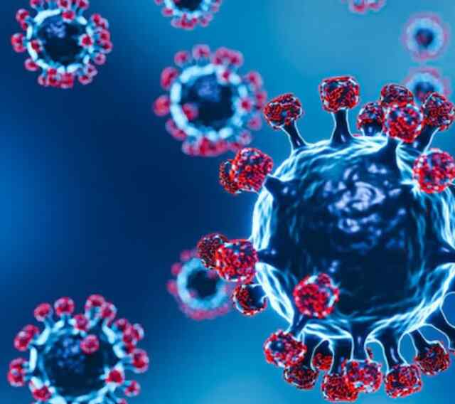 Corona की तरह अब इस Virus ने दी दस्तक, बढ़े केस