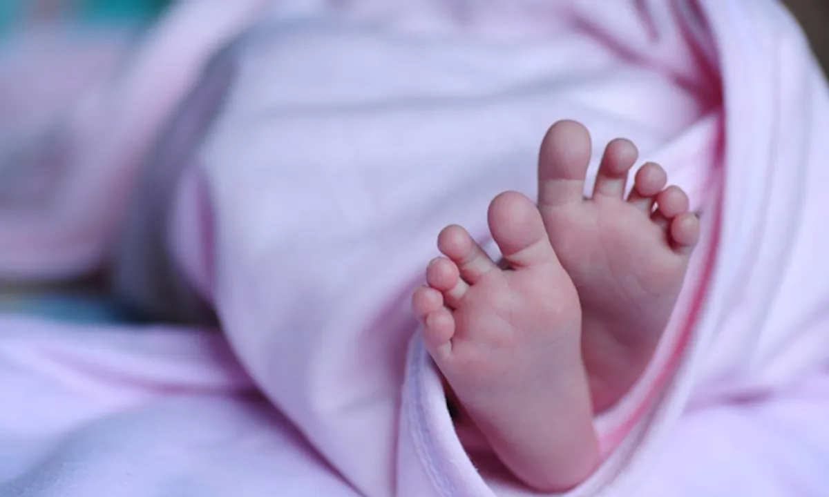 Jalandhar News: झूले में तड़पती मिली नवजात की हुई मौत