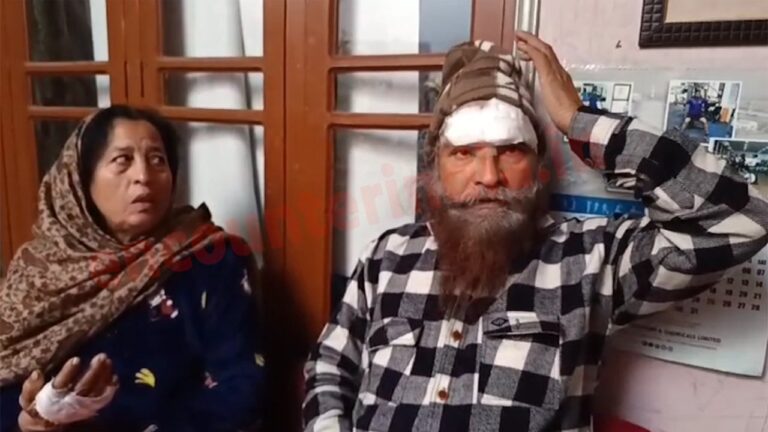 Punjab News: चाइना डोर की चपेट में आए दपंति, महिला का कटा हाथ, व्यक्ति के लगे 22 टांके, देखें वीडियो