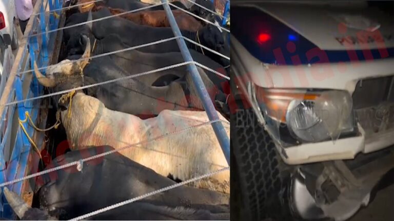 Punjab News :  पुलिस ने गायों की तस्करी कर रहे युवक को किया गिरफ्तार, देखें वीडियो