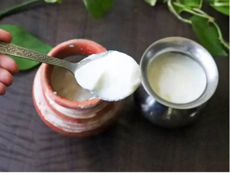 सर्दियों में नहीं जम पा रहा दही तो अपनाएं ये नुस्खा, जमेगा गाढ़ा और थक्केदार दही