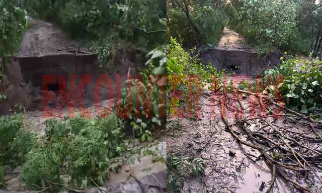 Punjab News: बारिश से बिगड़े हालात, धुस्सी बांध टूटने से करवाए खाली गांव, घरों में घुसा पानी, देखें वीडियो