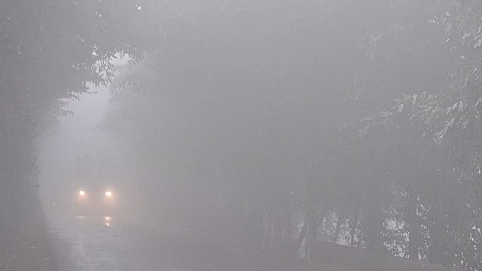 Punjab में घने कोहरे का Alert जारी, बारिश की संभावना