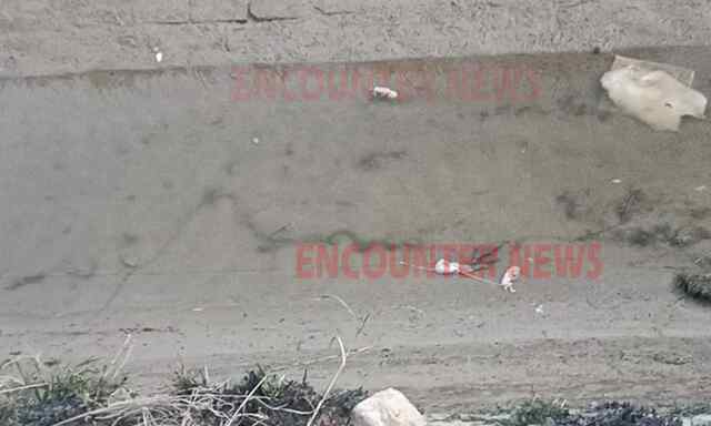 Punjab News: इस इलाके में 3 भ्रूण मिलने से मचा हड़कंप