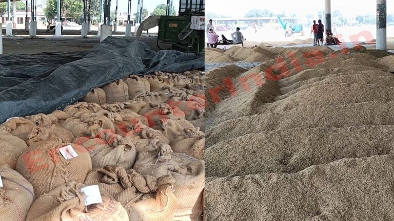 Punjab News : धान की खरीद ने होने के चलते आढ़तियों ने की हड़ताल, देखें वीडियो