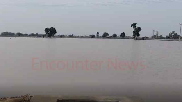 Punjab News: कुछ मिनटों की बारिश से किसानों की हजारों एकड़ फसल जलमग्न, देखें वीडियो