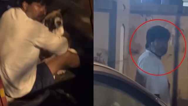 Mumbai News: Street Dog से यौन उत्पीड़न, पुलिस ने व्यक्ति पर कार्रवाई करने से किया इनकार