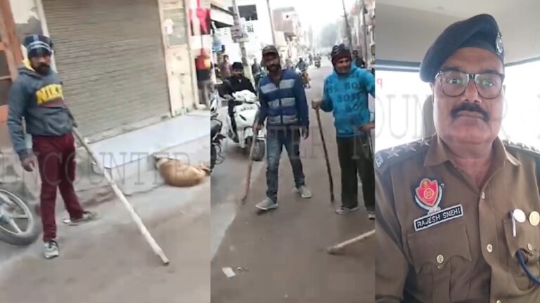Punjab News: लाठियों से कुत्ते को मौत के घाट उतारने वाले आरोपियों की हुई पहचान, देखें वीडियो