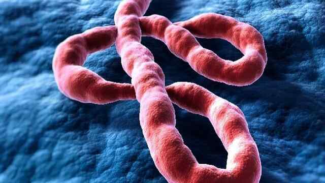 Africa में बढ़ते Ebola केसों के बीच भारत की हुई Entry, वैक्सीन बनाने में जुटा भारत का Serum Institute