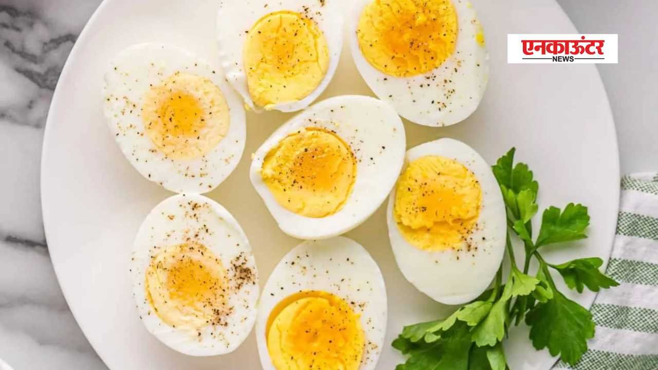 Health News: अंडा खाने से बढ़ती उम्र में याददाश्त और मस्तिष्क की शक्ति को ….