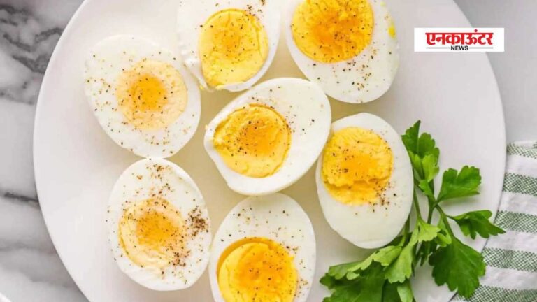Health News: अंडा खाने से बढ़ती उम्र में याददाश्त और मस्तिष्क की शक्ति को ….