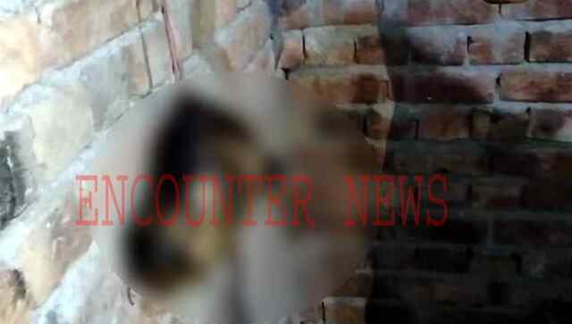Punjab: मरे बछड़े का सिर काटकर घर में लटकाने के मामले में आरोपी गिरफ्तार, हिंदू नेताओं में रोष