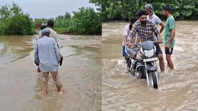 Punjab News: लगातार बारिश के कारण पुल के ऊपर बहने लगा पानी, कई गांवो का टूटा संपर्क, देखें वीडियो