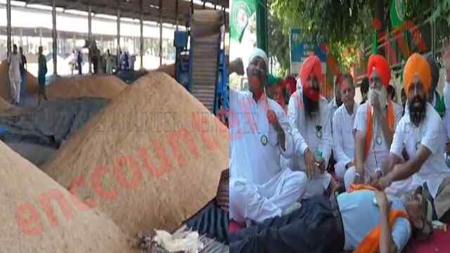 Punjab News : किसानों ने किया धरना प्रदर्शन, देखें वीडियो
