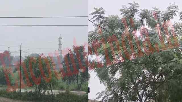 Jalandhar News: बारिश से लोगों की फिर बढ़ी चिंता, हो सकते हैं हालात खराब, देखें LIVE