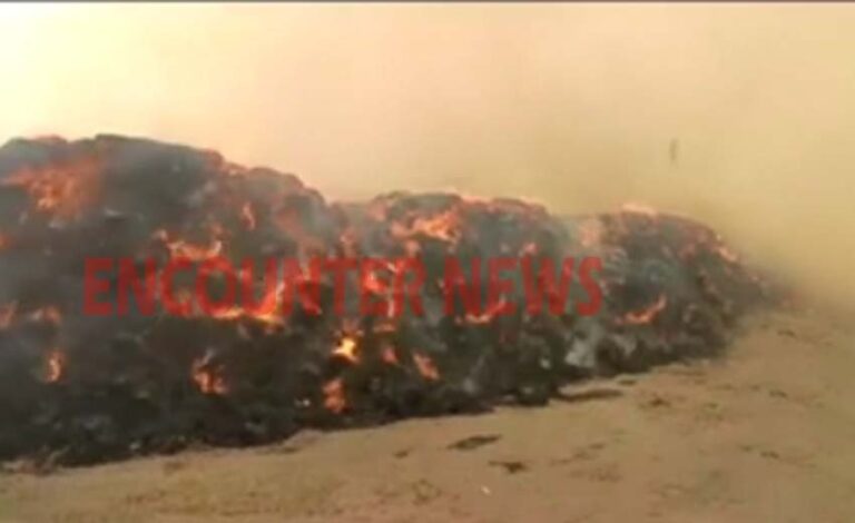 Punjab News: फैक्टरी में पड़े पराली के ढेर को लगी भीषण आग
