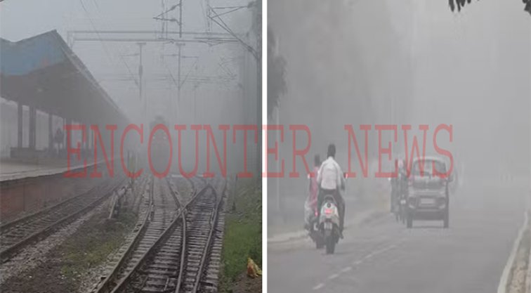 Punjab News: कोहरे का Yellow Alert जारी, ट्रेनों की रफ्तार हुई कम, Flights कैंसिल