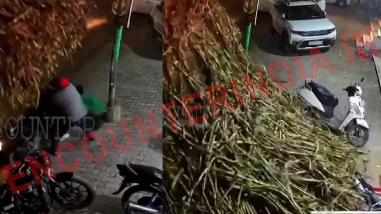 Jalandhar News: ओवरलोड ट्रॉली पलटने से तीन लोग दबे, बच्चे की मौत, देखें वीडियो