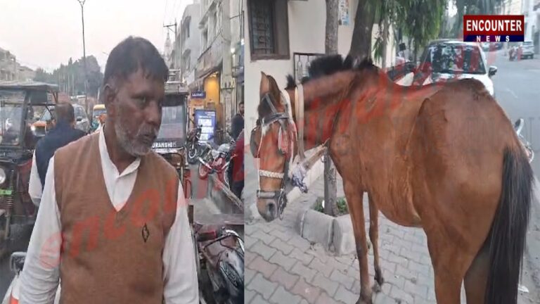 Punjab News : सड़क पर गिरे घोड़े को मार रहे मालिक से राहगीरों ने बचाई जान, देखें वीडियो