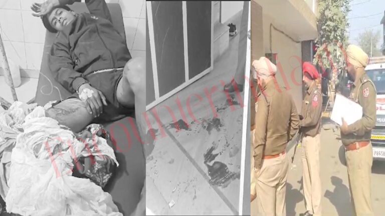 Punjab News: मोहल्ले में हो रहा झगड़ा देखना 11वीं के छात्र को पड़ा भारी, लगी गोली, देखें video