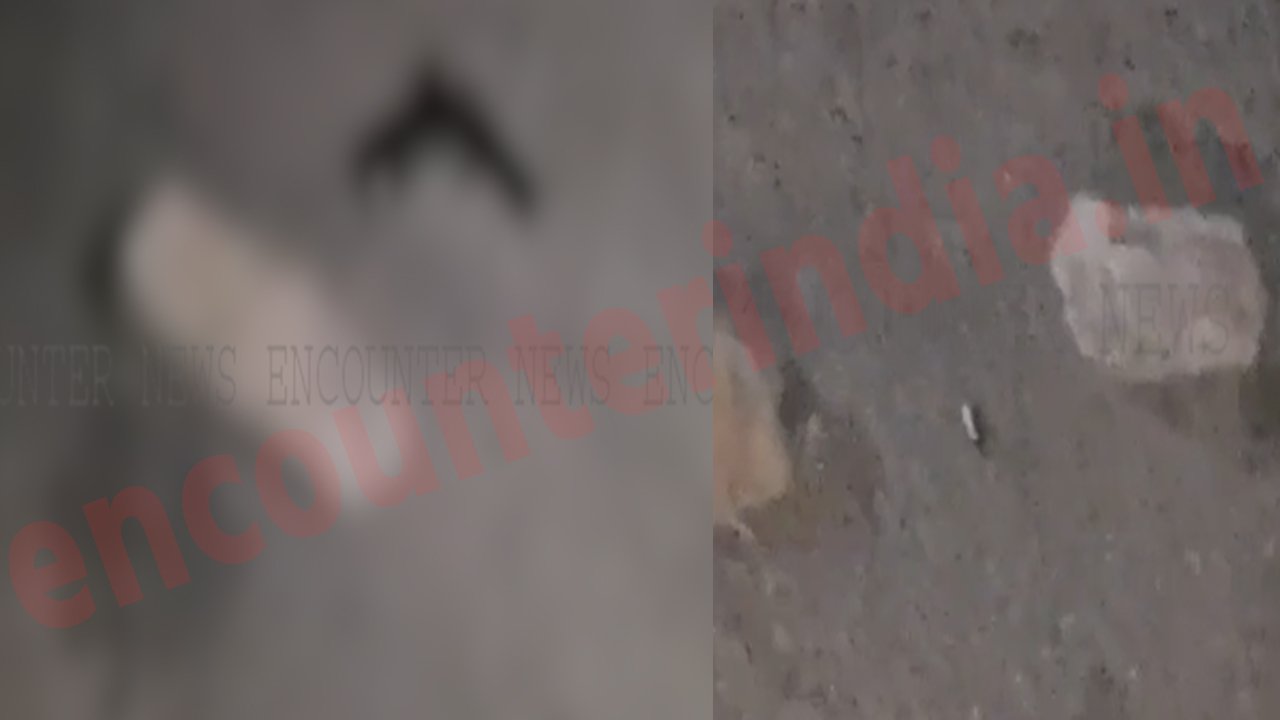 Punjab News : पुलिस मुठभेड़ में किडनैपर घायल, एक देशी पिस्तौल व बाइक सहित काबू, देखें वीडियो