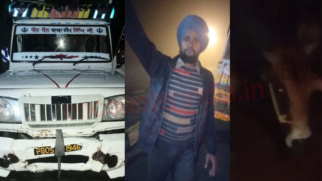 Punjab News : गौवंश की तस्करी के लिए ले जा रहे वाहन को किया जब्त, देखें वीडियो