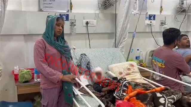 Punjab News: अढ़ाई वर्षीय बच्चे पर आवारा कुत्ते ने किया हमला, गंभीर घायल