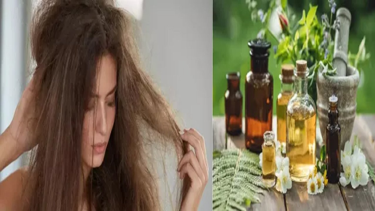 बालों के रूखेपन को जड़ से मिटाएंगे ये हेयर मास्क, सीखें बनाने का तरीका