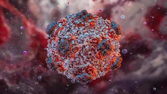 HantaVirus को लेकर WHO ने दिया बड़ा Update, बताया कब तक करेगा इंसानों को परेशान