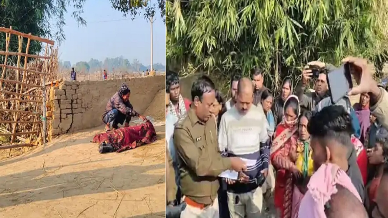 इस इलाके में हाथी का हमला, खेत की रखवाली कर रहे दंपति को कुचला, मचा हड़कंप