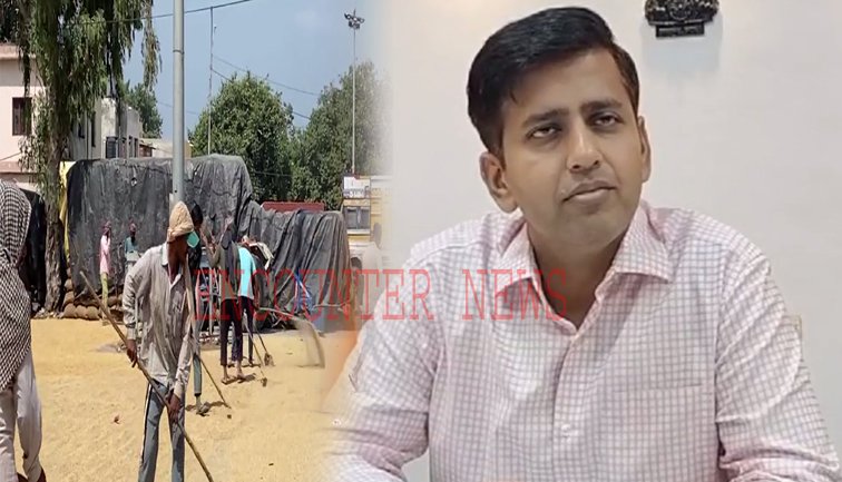 Jalandhar News: कल से शुरू होंगी धान की फसल की खरीद, DC ने जारी किए निर्देश, देखें वीडियो
