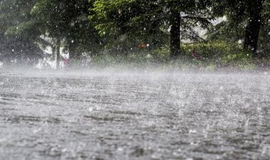 सुबह सुबह Jalandhar में छाए बादल, पंजाब में बारिश के आसार