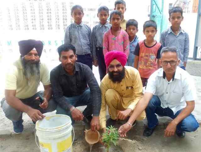 ਸਰੋਆ ਫਾਊਂਡੇਸ਼ਨ ਵਲੋਂ ਬੂਟੇ ਲਾਗਾਉਣ ਦੀ ਮੁਹਿੰਮ ਵਿੱਚ ਲਿਆਂਦੀ ਤੇਜੀ: ਚੇਅਰਮੈਨ ਰਵਿੰਦਰ ਸਰੋਆ