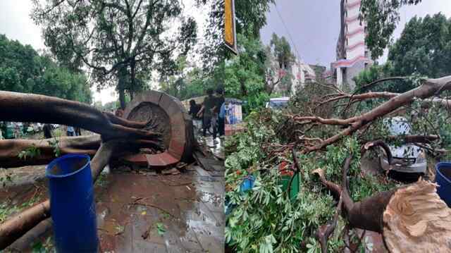 तेज आंधी के साथ जोरदार बारिश, पेड़ गिरने से कई जगह ट्रैफिक जाम…